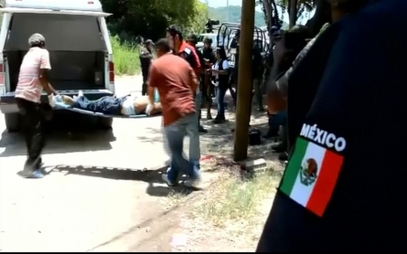 Mexican community activist killed in Guerrero state